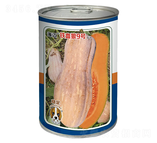 ��Ѫ��9��-�Ϲ�����-�ٹ���-��������