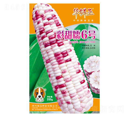 ����Ŵ6��-��������-������-��������