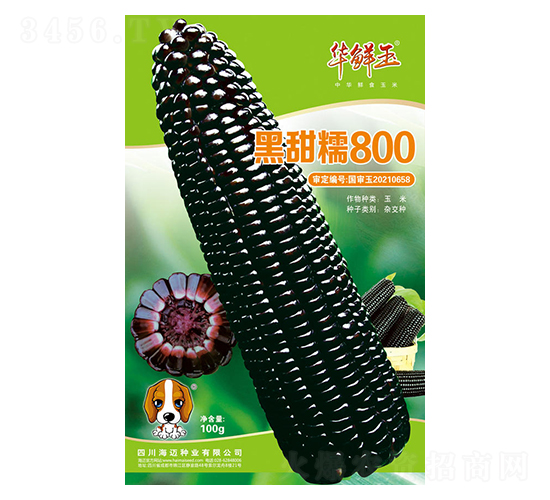 ����Ŵ800-��������-������-��������