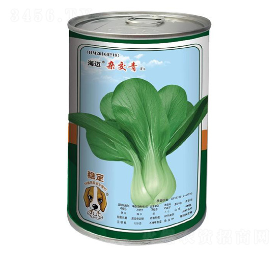 �����ӽ���-С�������-��������