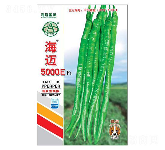����5000E-��������-��������