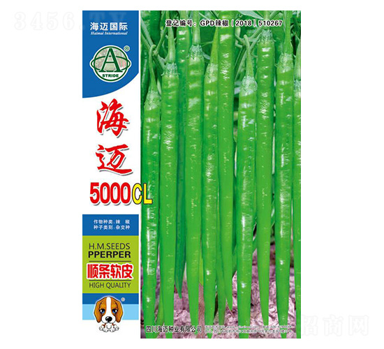 ����5000CL-��������-��������