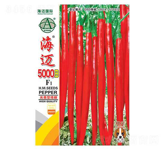 ����5000B-��������-��������
