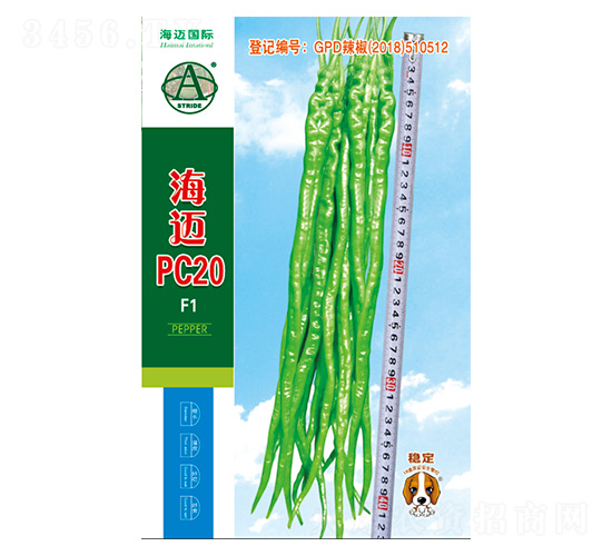 ����PC20-��������-��������
