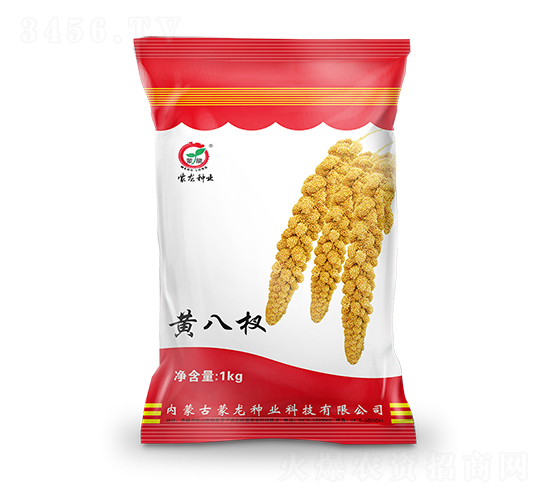 �ư��-��������-������ҵ