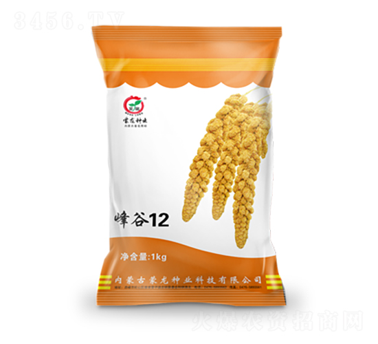 ���12-��������-������ҵ