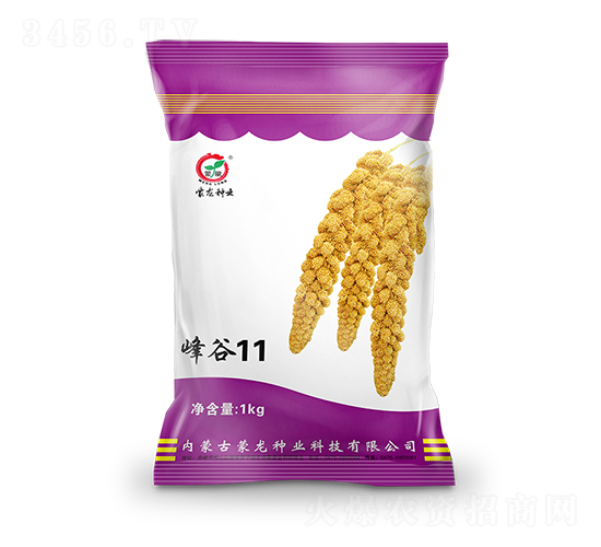 ���11-��������-������ҵ