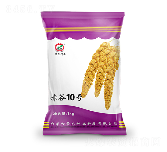 ���10��-��������-������ҵ