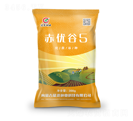 ���Ź�5-��������-������ҵ