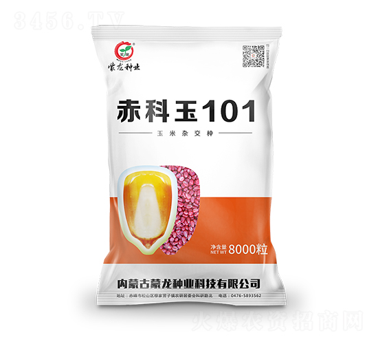 �����101-��������-������ҵ