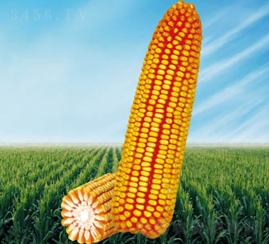 ����2��-��������-������ҵ
