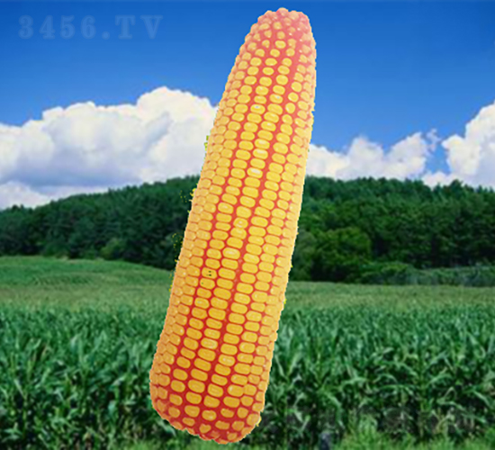 ����668-��������-������ҵ