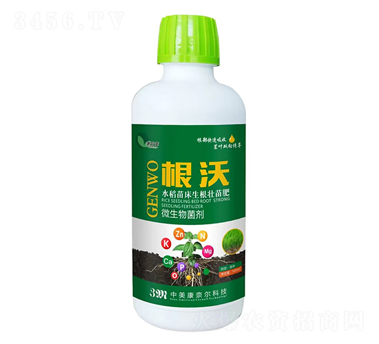 ���֣�ˮ���紲����׳��ʣ�-������-���ζ�