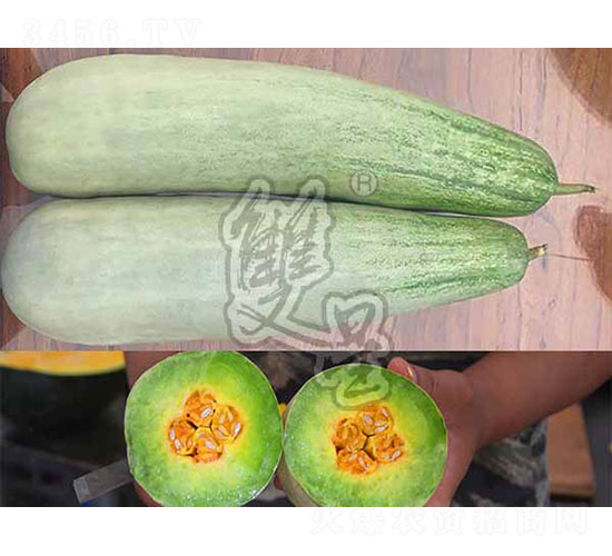 ��ϲ-�������-˫����ҵ