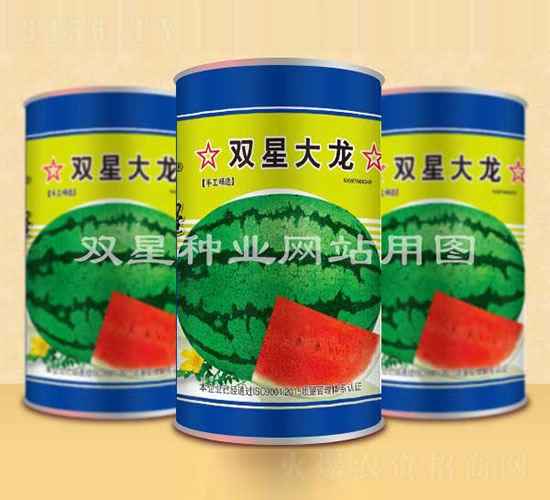 ˫�Ǵ���-��������-˫����ҵ