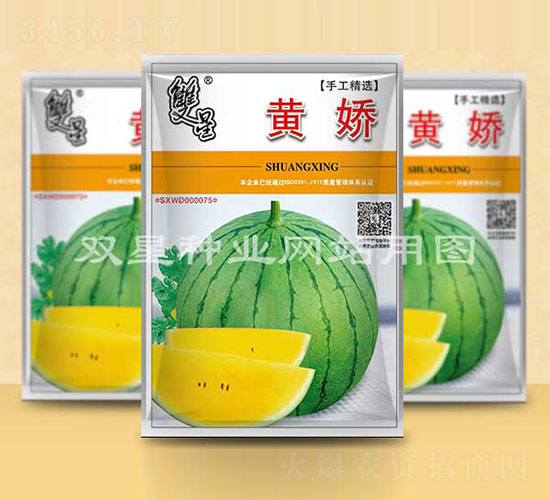 �ƽ�-��������-˫����ҵ