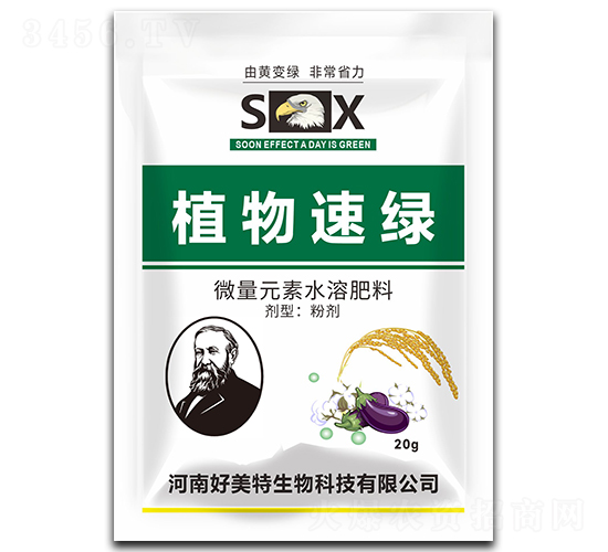 ֲ������-������