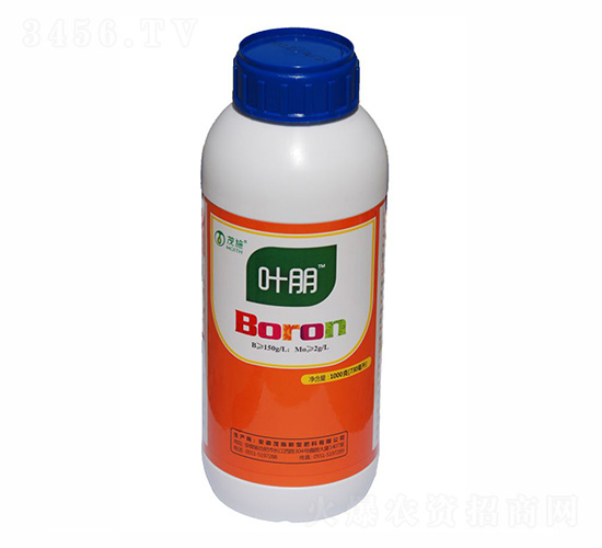 �л����-Ҷ��-ïʩ����