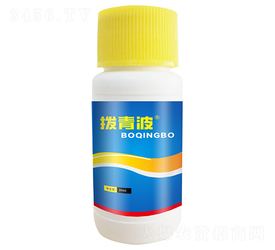 ���岨-������