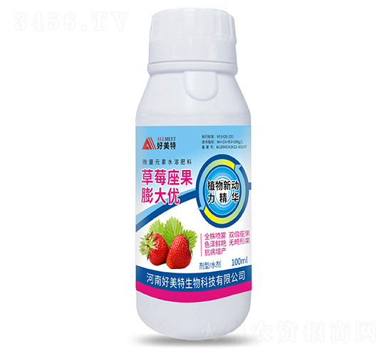 ��ݮ���������-������
