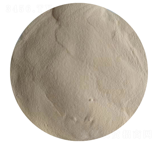 5-ALA��������ȡ�-����