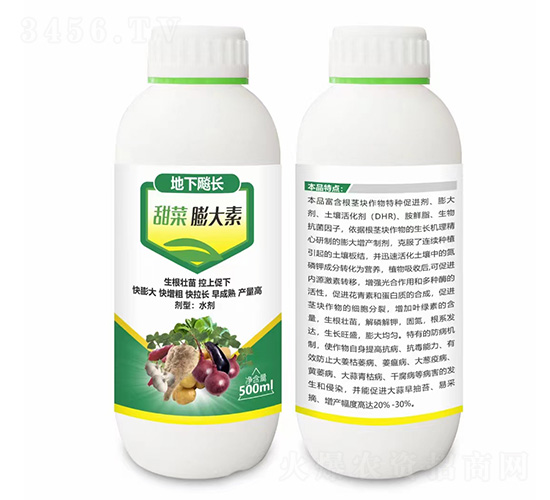 ����쮳���������-���Դ-����