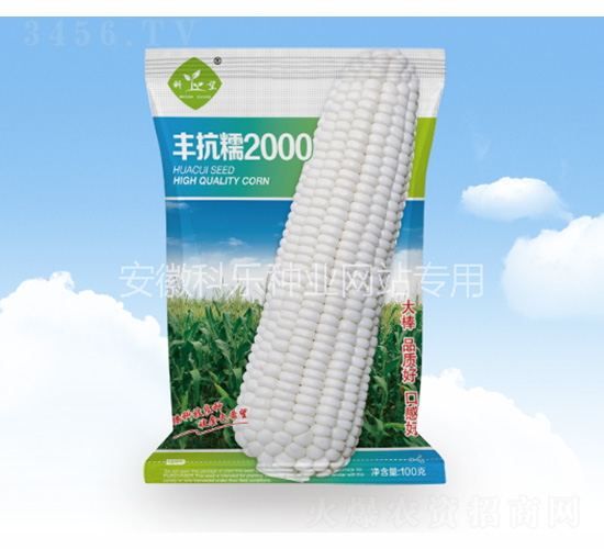 �ΌŴ2000-������ҵ