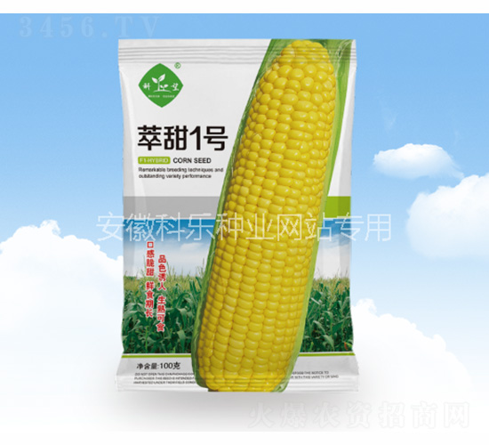����һ��-������ҵ