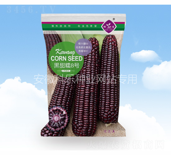 ����Ŵ8��-������ҵ