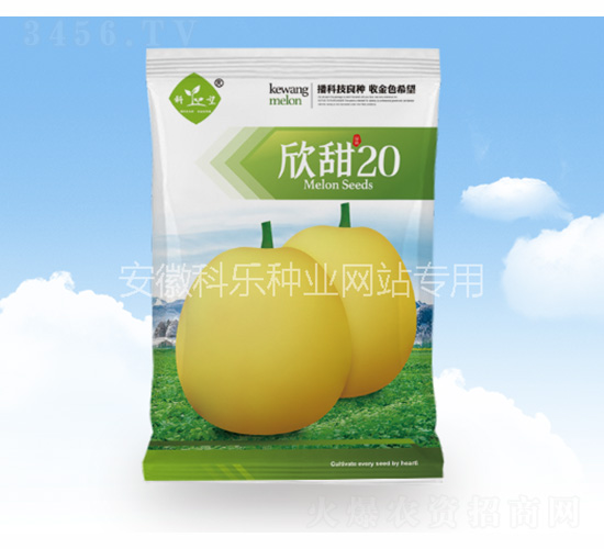 ����20-������ҵ