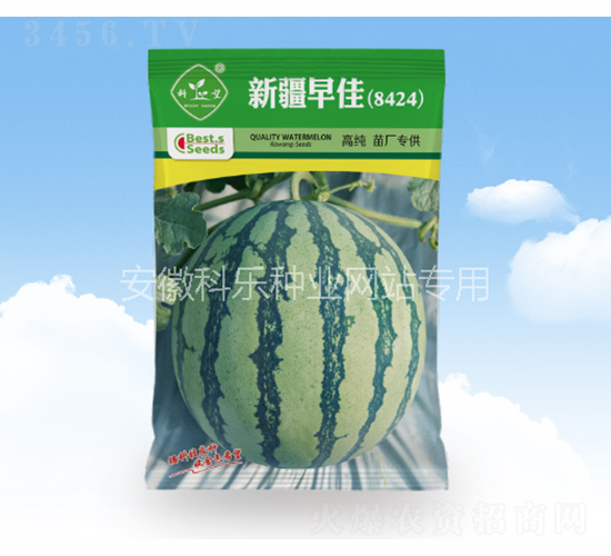 �½����8424-������ҵ