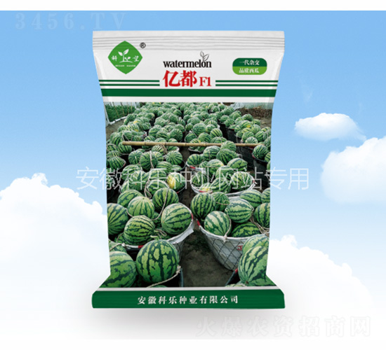 �ڶ�-������ҵ