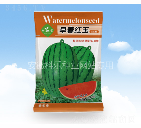 �紺����ڿڴ�-������ҵ