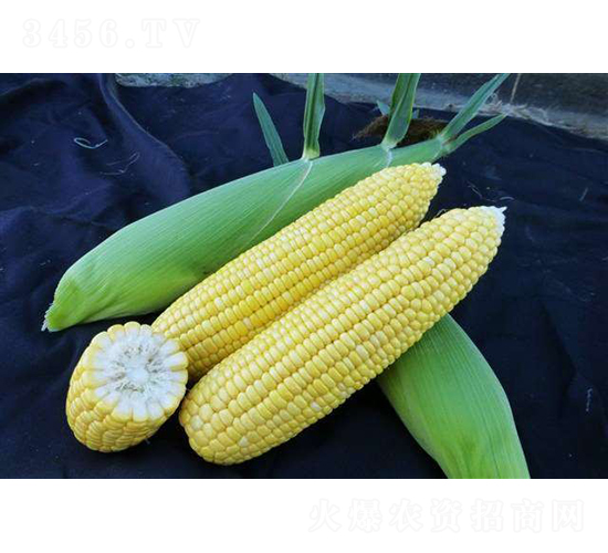 2019-552��������-ũ������