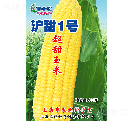 ����1����������-ũ������
