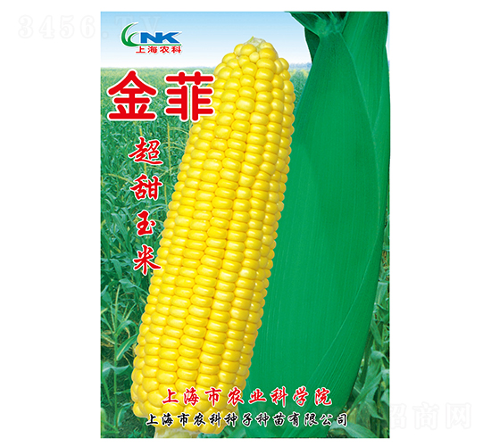 �����������-ũ������