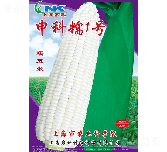 ���Ŵ1����������-ũ������