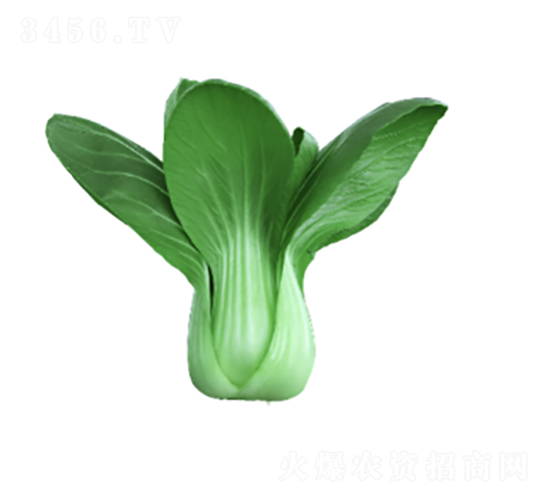 ����605�������-ũ������