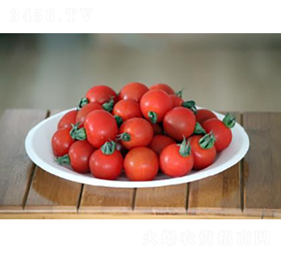 ��ӣK319-��������-ũ������