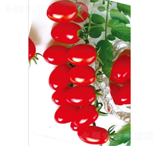 ��ӣK605-��������-ũ������