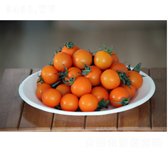 ��ӣK628-��������-ũ������