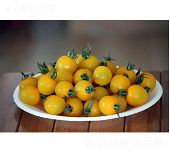 ��ӣ3321-��������-ũ������