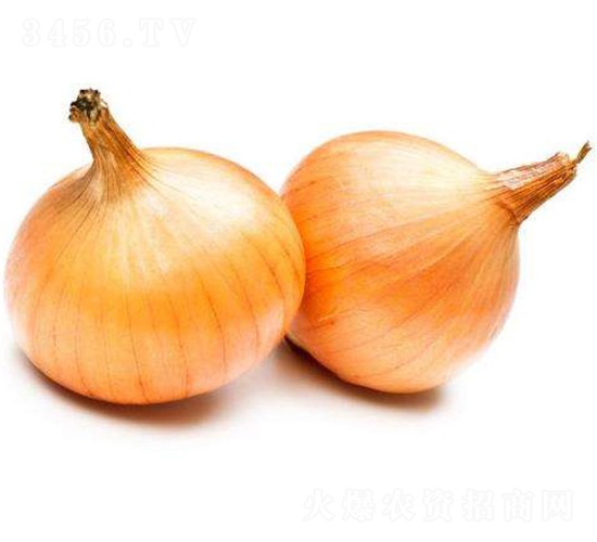 ������Y10��-�������-ũ������