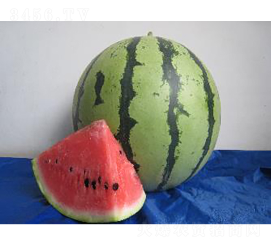 ����948-��������-ũ������