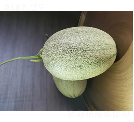 ������122-�������-ũ������
