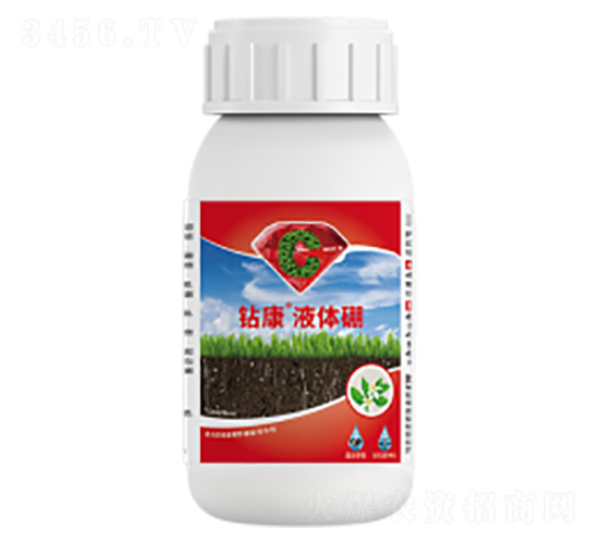 �꿵Һ����-�����ط�