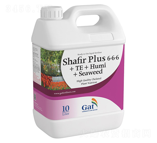 ��ɫ��SHAFIR-PLUSɳ�ʼ�Һ�����-�����ط�