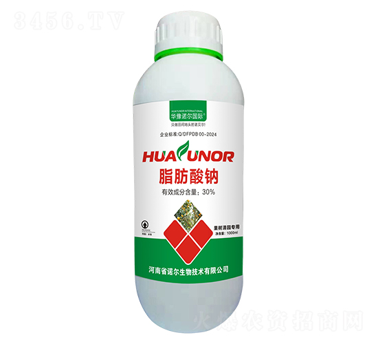 ֬������-�ѳ�ȫ��-ŵ������