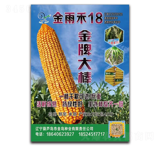 �����18�����ƴ����-��������-�п�����
