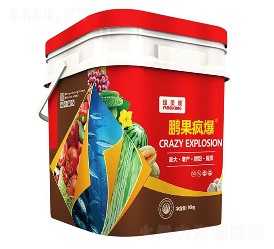 �����豬-������-������